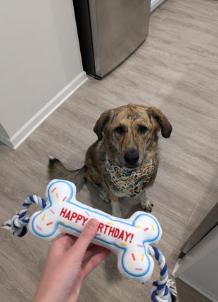 BIRTHDAY BONE