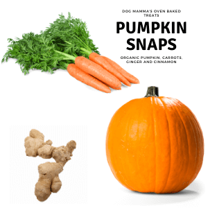 Dog Mamma's Organic Pumpkin Snaps Recipe- USDA Organic Certified Dog Treats