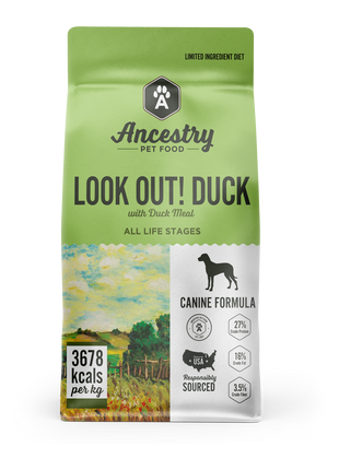 Look Out! Duck