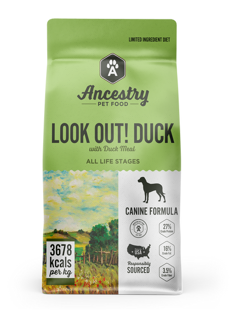 Look Out! Duck