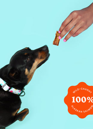 Crunchy Jerky Dog Treats - Snappin' Salmon