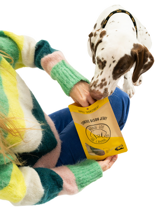 Turmeric Bison Jerky