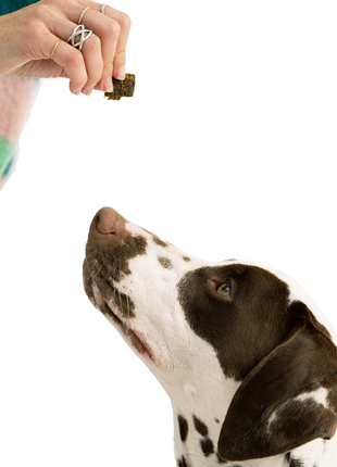 Turmeric Bison Jerky