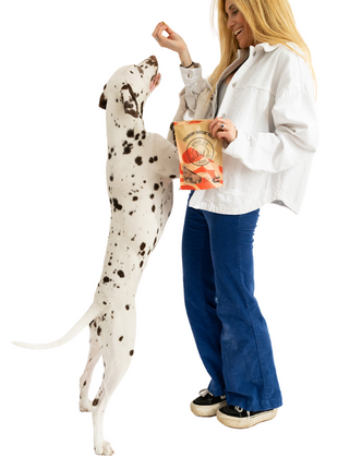 Strawberry Shortcake Treats