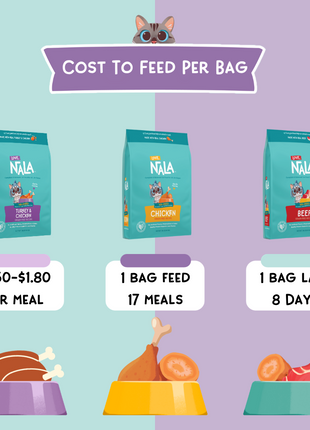 Beef Grain Free Recipe Air-Dried Adult Cat Food 1lb bag