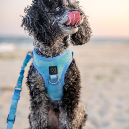 Summer AIR Harness - Ocean