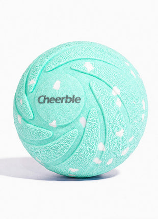 Wicked Ball Air - Pup List