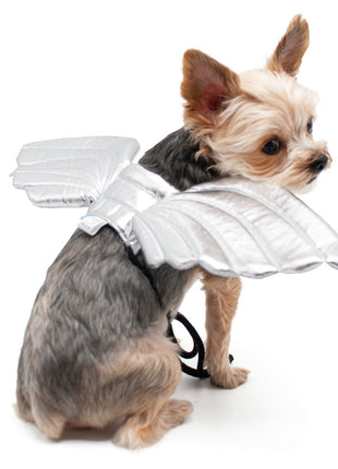 Angel Wing