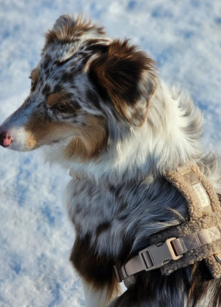 'Sand' - Sherpa Dog Harness