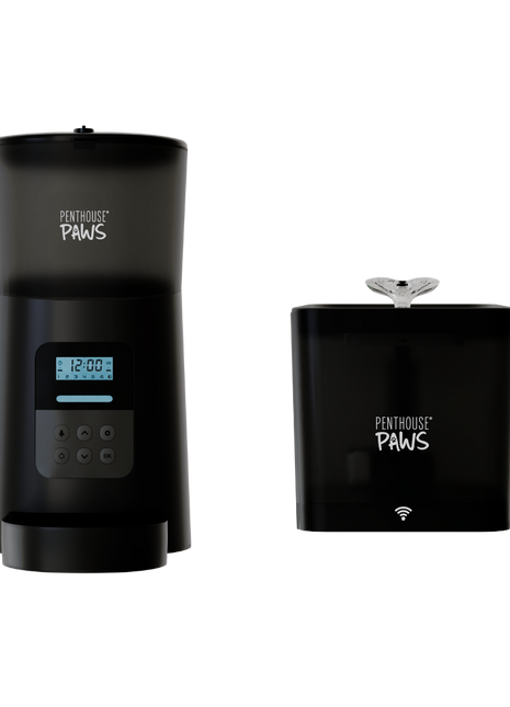 Automatic Cat Feeder & Smart Water Fountain