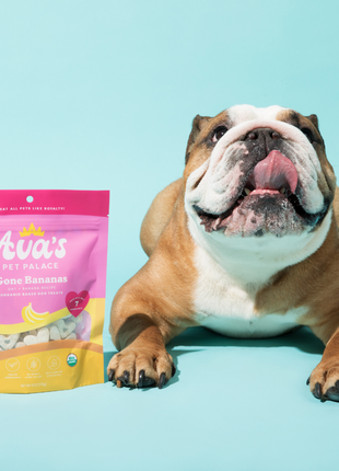 Organic Baked Dog Treats - Gone Bananas