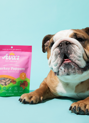 Freeze Dried Dog Treats - Turkey Poppers
