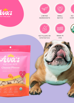 Organic Baked Dog Treats - Cheeze Pleeze