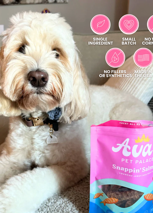 Crunchy Jerky Dog Treats - Snappin' Salmon