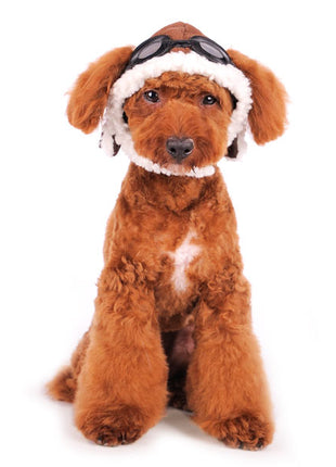 Aviator Hat