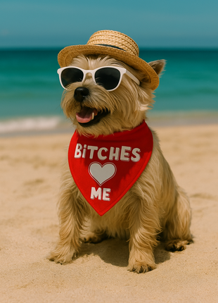 Parisian Pet 'Bitches Love Me' Bandana - Stylish, Comfortable, Trendy Red Bandana for Dogs & Cats, Fun Pet Fashion Accessory