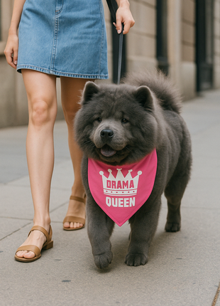 Parisian Pet 'Drama Queen' Bandana for Dogs & Cats - Fashionable, Comfortable, Fun Pink Dog & Cat Bandana, Trendy Pet Accessory