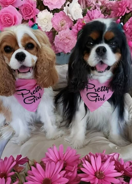 Parisian Pet 'Pretty Girl' Bandana - Fashionable, Comfortable Pink Pet Bandana for Dogs & Cats, Trendy Pet Fashion Accessory