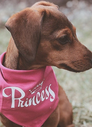 Parisian Pet 'Princess' Bandana for Dogs & Cats - Stylish, Trendy, Comfortable Pink Dog Bandana for Special Occasions