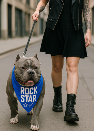 Parisian Pet 'Rock Star' Bandana for Dogs & Cats - Fashionable, Comfortable Blue Pet Bandana for Trendy Pets