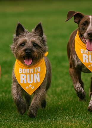 Parisian Pet 'Born to Run' Bandana - Fashionable, Soft, Comfortable Yellow Bandana for Dogs & Cats
