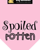 Parisian Pet 'Spoiled Rotten' Bandana for Dogs & Cats - Trendy, Comfortable, Funny Pink Dog Bandana