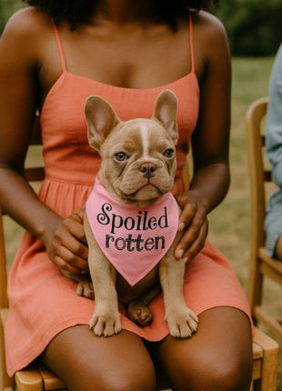 Parisian Pet 'Spoiled Rotten' Bandana for Dogs & Cats - Trendy, Comfortable, Funny Pink Dog Bandana