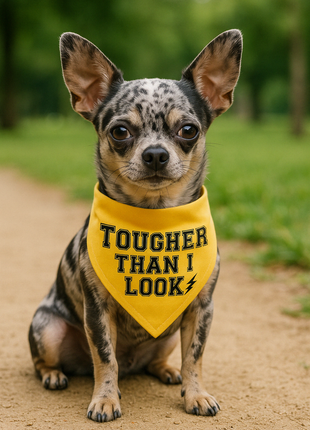 Parisian Pet 'Tougher Than I Look' Bandana - Comfortable, Stylish Yellow Dog & Cat Bandana, Trendy Design