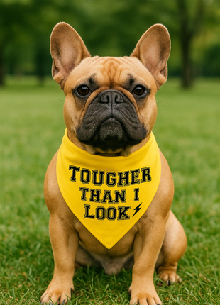 Parisian Pet 'Tougher Than I Look' Bandana - Comfortable, Stylish Yellow Dog & Cat Bandana, Trendy Design