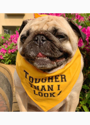 Parisian Pet 'Tougher Than I Look' Bandana - Comfortable, Stylish Yellow Dog & Cat Bandana, Trendy Design