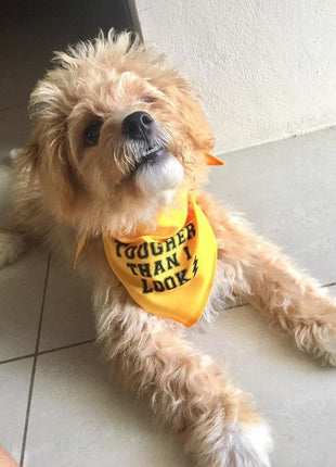 Parisian Pet 'Tougher Than I Look' Bandana - Comfortable, Stylish Yellow Dog & Cat Bandana, Trendy Design