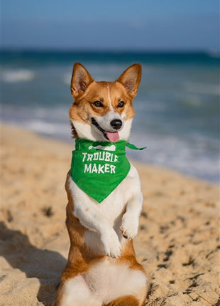 Parisian Pet 'Trouble Maker' Bandana for Dogs & Cats - Fun, Comfortable, Trendy Green Pet Fashion Accessory-Saint Patrick's Day