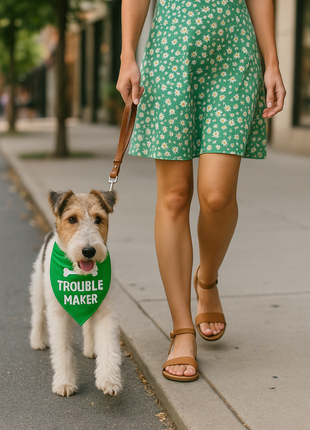 Parisian Pet 'Trouble Maker' Bandana for Dogs & Cats - Fun, Comfortable, Trendy Green Pet Fashion Accessory-Saint Patrick's Day