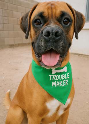 Parisian Pet 'Trouble Maker' Bandana for Dogs & Cats - Fun, Comfortable, Trendy Green Pet Fashion Accessory-Saint Patrick's Day