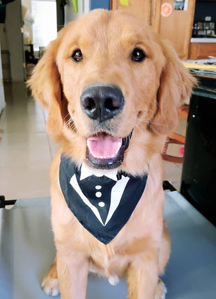 Parisian Pet 'Tuxedo Bandana' - Comfortable, Trendy Formal Black Bandana for Dogs & Cats, Perfect for Special Events