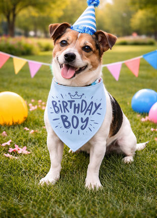Parisian Pet 'Birthday Boy' Dog Bandana – Happy Birthday Pet Outfit, Fun Party Scarf for Dogs & Cats, Stylish & Comfy Celebration Clothing, Blue - Pup List