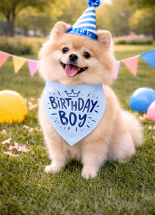 Parisian Pet 'Birthday Boy' Dog Bandana – Happy Birthday Pet Outfit, Fun Party Scarf for Dogs & Cats, Stylish & Comfy Celebration Clothing, Blue - Pup List