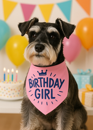 Parisian Pet 'Birthday Girl' Dog Bandana – Happy Birthday Pet Outfit, Party Scarf for Dogs & Cats, Perfect Gift & Accessories, Pink