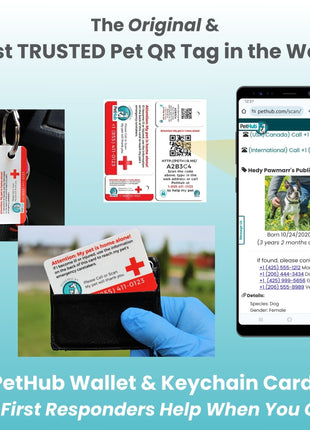 QR Pet Comprehensive Identification: Mini ReadyKit