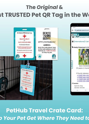 QR Pet Comprehensive Identification: Mini ReadyKit