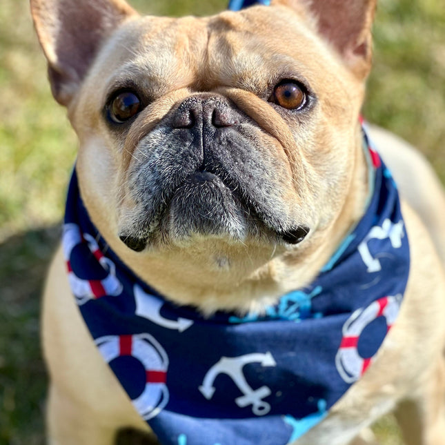Nautical Dog Bandana New Arrivals