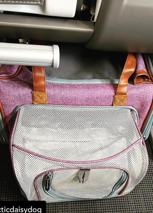 Mr. Peanut's Gold Series Big Apple XL Size Airline Compliant Double Expandable Pet Carrier