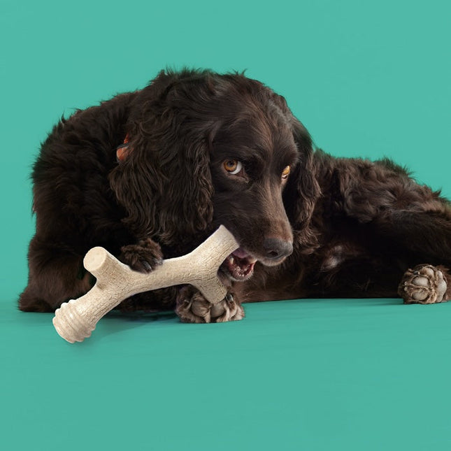 Barkin' Bone