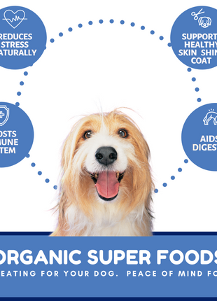 Dog Mamma's Organic Berry Banana Coconut Recipe - USDA Organic Certified Dog Treats