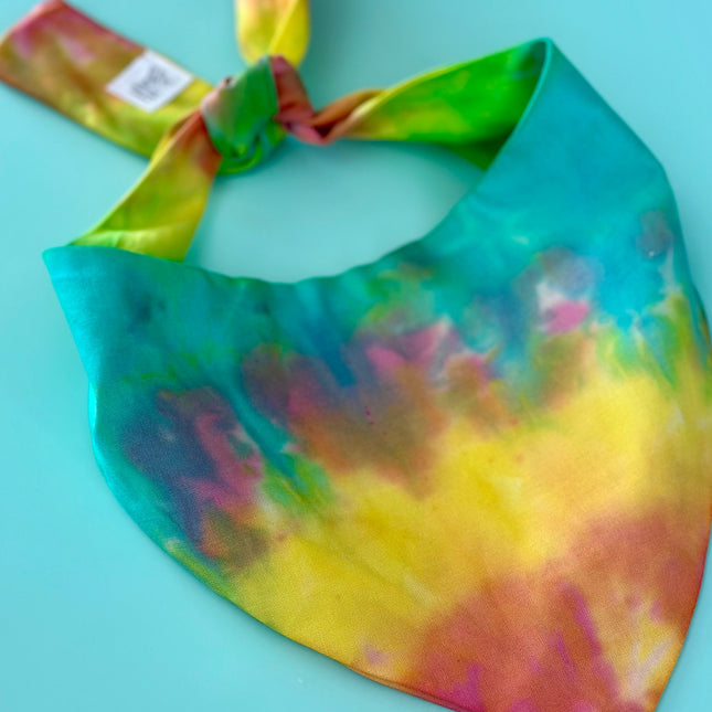 Custom Tie Dye Dog Bandana