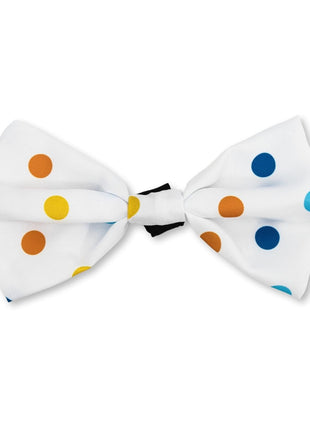 4-Piece Dog Birthday Kit – Celebrate in Style with Bandana, Hat, Bow Tie & Plush Toy