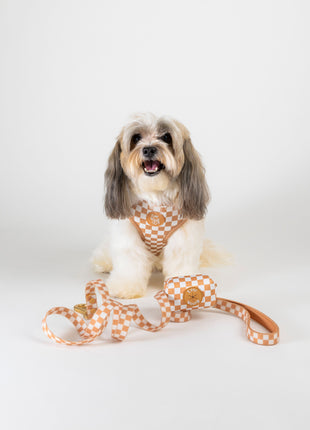 Check Me Out Waterproof Leash - Pup List