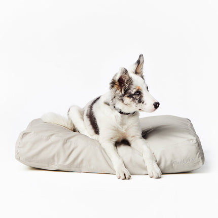 Bed Cover