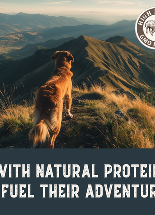 Bison & Fish Jerky Dog Treats