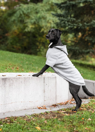 Brave Bark Hooded Dog Fleece - Heather Grey